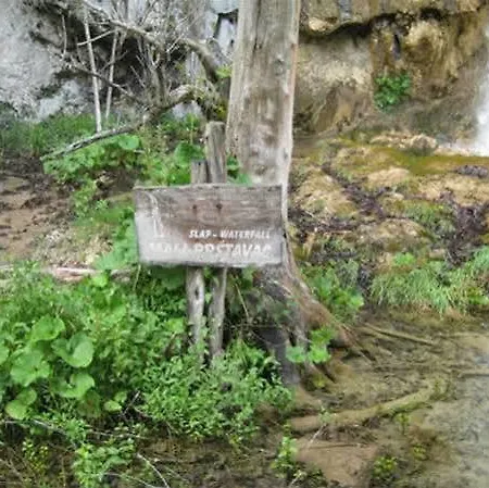 Zdravko * Τρογκίρ