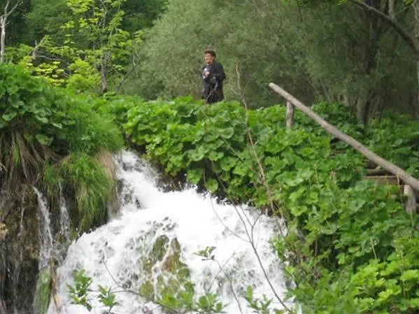 Apartament Zdravko *