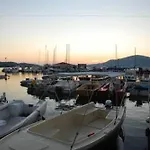 Zdravko Τρογκίρ