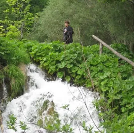 Apartament Zdravko *